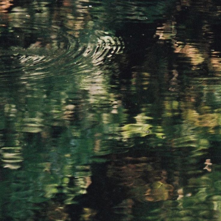 Ripples and reflections across dark green water